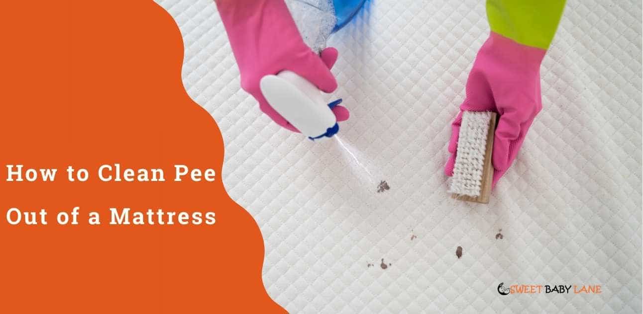 how-to-clean-pee-out-of-a-mattress-easy-steps-to-follow